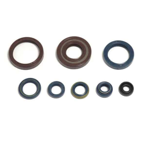 Athena Motor-Simmerring-Kit