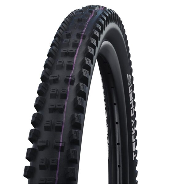 Schwalbe MTB-Reifen Tacky Chan HS625