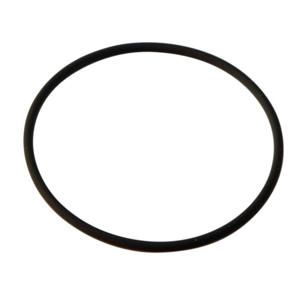 WP O-Ring